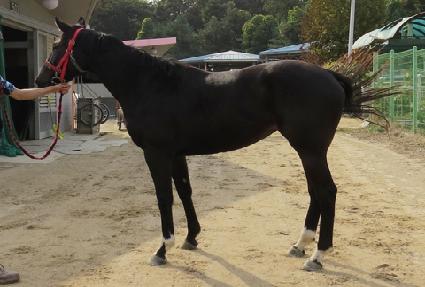 �������� ����