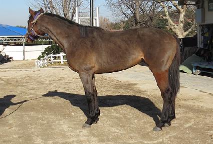 �����̱�ȸ ����