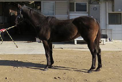 ���ϻ��� ����