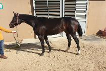 ���̿���Ǯ�� (K WONDERFUL WON) ����