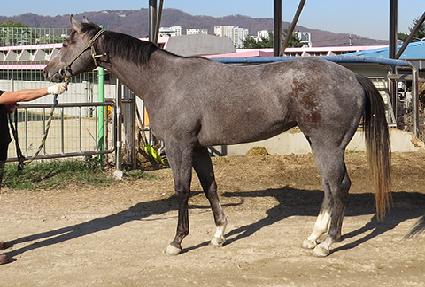 �¸������� ����