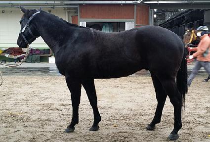 ��ŷŬ���� ����