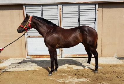 ĸƾ���̽� ����