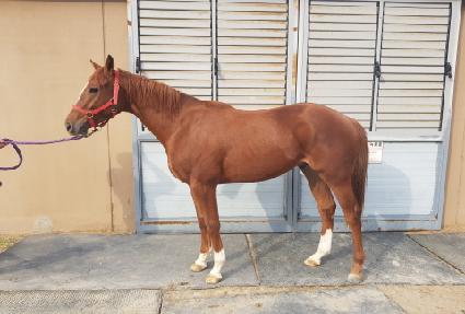 �����мǵ� ����