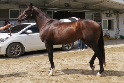 ���̿�����Ǯ ����