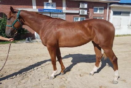 ��������Ʈ ����