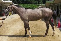 ��ε��� (GYEONGBU DORYEONG) ����