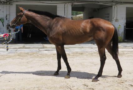 �������� ����