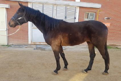 �������� ����