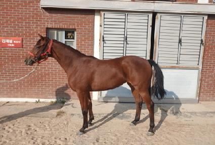 ����� ����