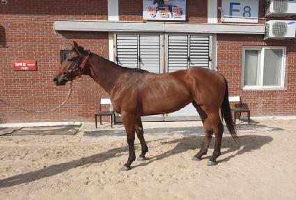 �������� ����