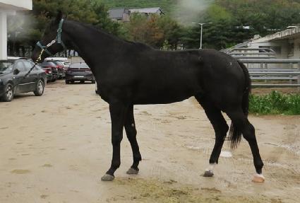 õ���Ǻ� ����