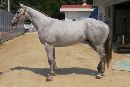 �����Ǻ� ����