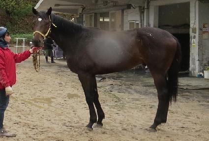 �¾��Ǵ� ����