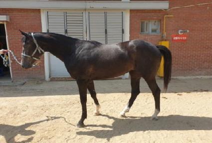 ��������� ����