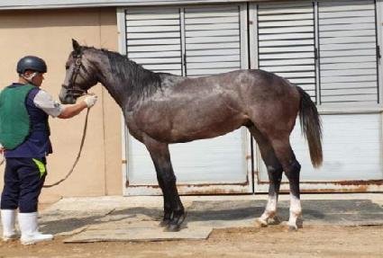 ���������м� ����