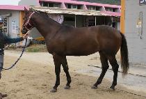 û���¾� (CHEONGDAM TAEYANG) ����