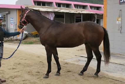 û���¾� ����