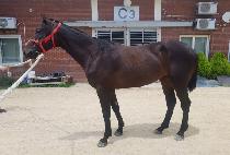 SEONGSAN  DAY picture