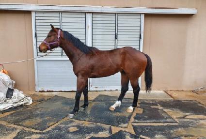 è�Ǿ����� ����