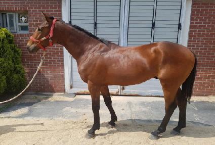 ���������� ����