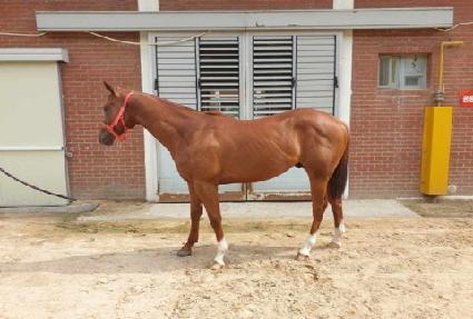 ���ڷ��� ����