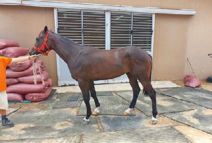 ��׼��� ����