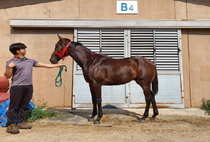 ���̸մ��� ����