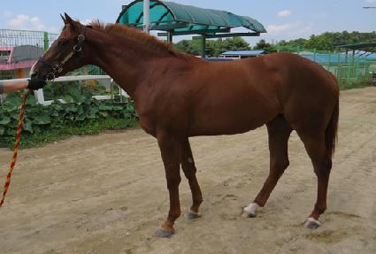 Ʈ�� ����