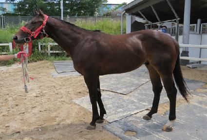 �ο��ູ ����