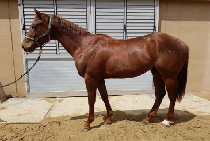 �Ƶ��ְ� ����