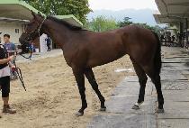 �������� (SHADOW QUEEN) ����