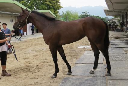 �������� ����