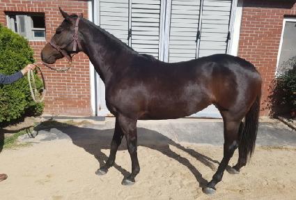 ��ٸ�Ȳ�� ����