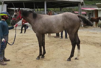 ���ٴ� ����