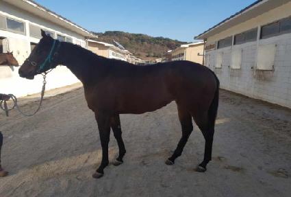 �ݾƹٴ� ����