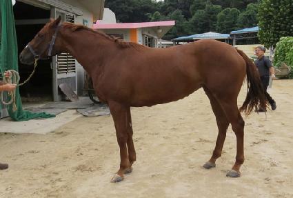 ������Ʈ ����