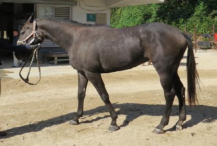 �޸��� ����