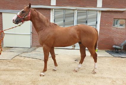 ������� ����