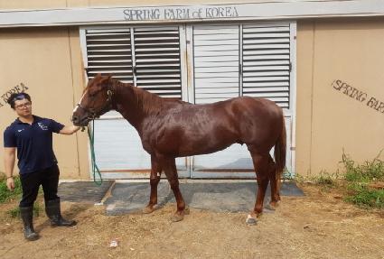 ���������� ����