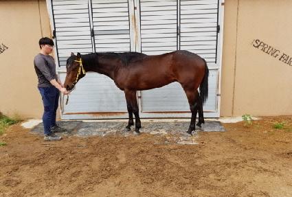 ��Ʈ���ε� ����