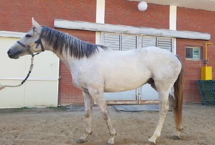 ���̽��ε� ����