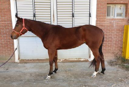 ������ ����