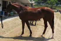 �����ٶ� (DANGCHAN BARAM) ����