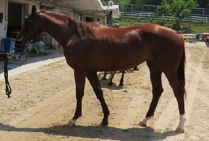 �����ٶ� ����