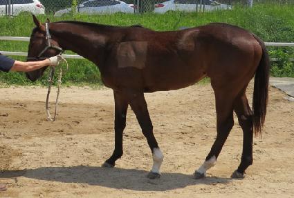 �̽�Ʈ�� ����