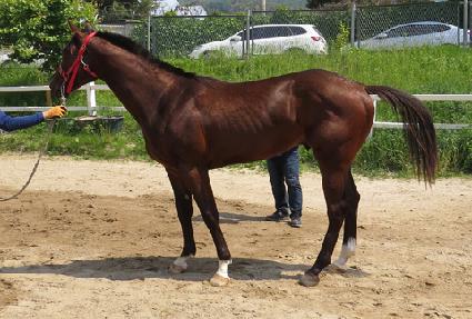 ����Ʈ ����