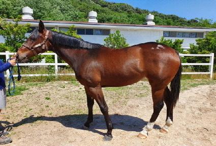 �йи����� ����