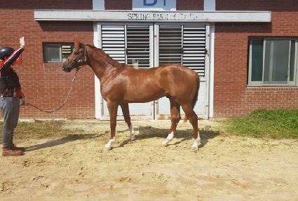 ������ڸ��� ����