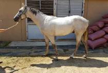 FANTASTIC MAN picture